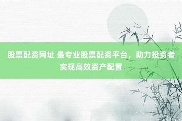 股票配资网址 最专业股票配资平台,助力投资者实现高效资产配置