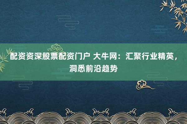 配资资深股票配资门户 大牛网:汇聚行业精英,洞悉前沿趋势