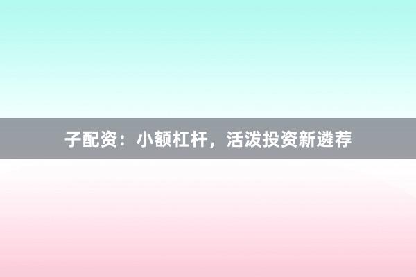 子配资:小额杠杆,活泼投资新遴荐