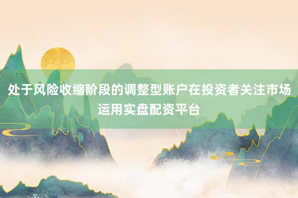 处于风险收缩阶段的调整型账户在投资者关注市场运用实盘配资平台