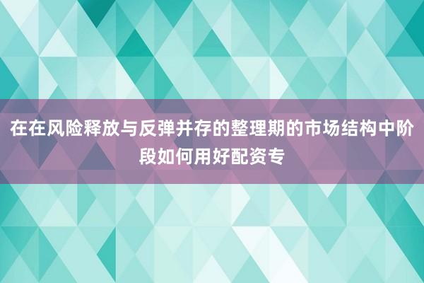 在在风险释放与反弹并存的整理期的市场结构中阶段如何用好配资专