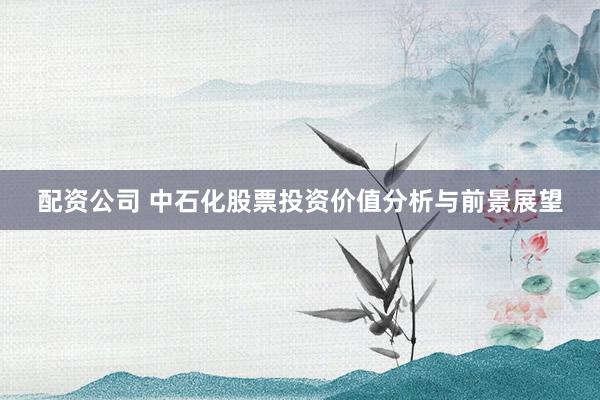 配资公司 中石化股票投资价值分析与前景展望