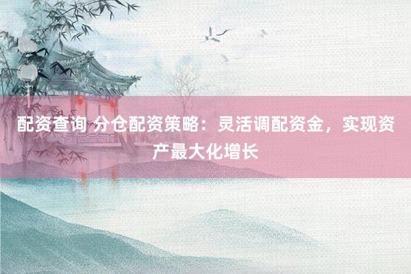 配资查询 分仓配资策略：灵活调配资金，实现资产最大化增长