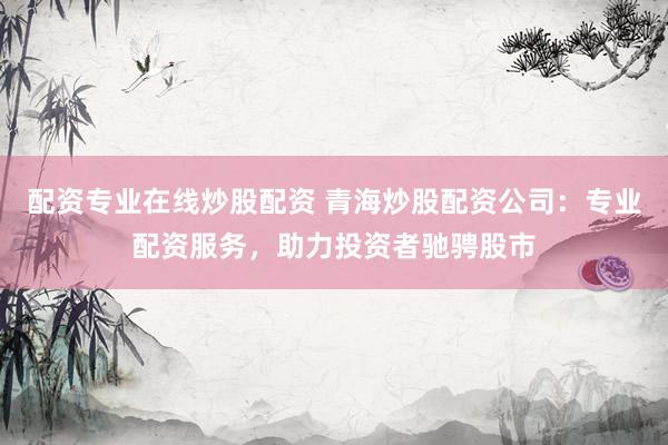 配资专业在线炒股配资 青海炒股配资公司：专业配资服务，助力投资者驰骋股市